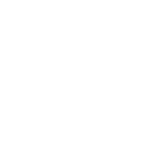 CCS Logo